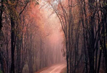 开云体育官网：欧冠-小蜘蛛点球被判无效 皇马点球战总分6-4马竞进8强.