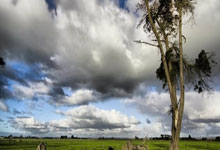 德甲-诺伊尔送点+扑点科曼伤退 拜仁3-2奥格斯堡.