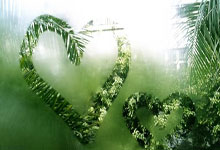 开云体育官网：体坛名场面｜中国女足50米吊射+蝎子摆尾，各个犹如伊布附体，3：1完胜韩国队.