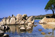 开云体育官网：亚洲区世预赛强赛积分榜：国足仍积分已无缘直接出线.